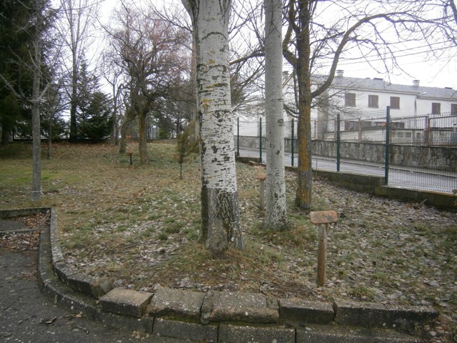 Jardín botánico12